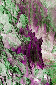 A 204A